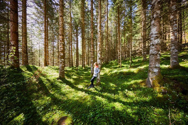 Kronthaler - Adults Only 4* Achenkirch